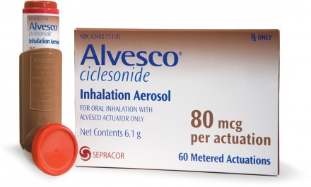 Alvesco 80mcg