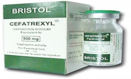 Cefatrexyl 500gm